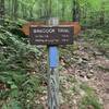 Trail sign at southern junction of Babcock Trail & Long Trail near Devil's Gulch.