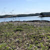 Lake of the Arbuckle's view from the end of Fishing Rock Trail.