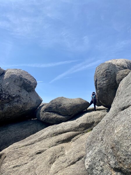 Bella taking pictures of the view at the summit.