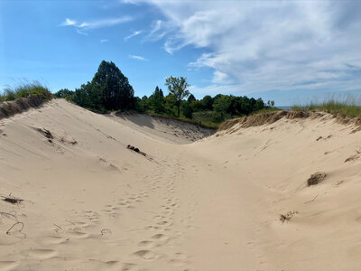Bella taking a nap in the valley.