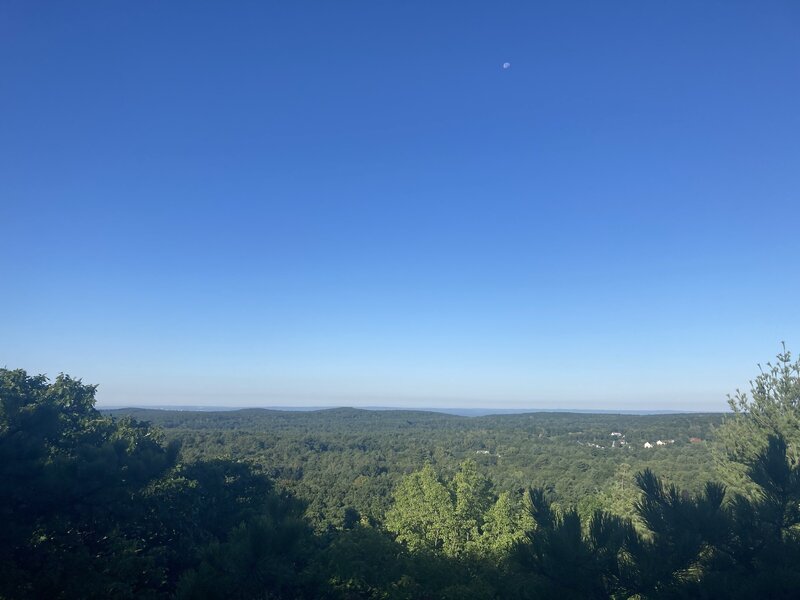 Overlook in Stoppleworth Conservation Area.