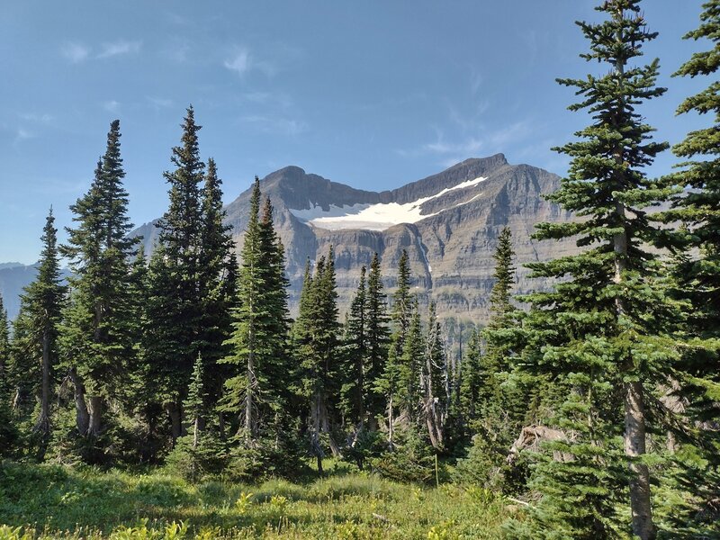 Piegan Glacier to the west-southwest is seen from the meadows below Piegan Pass.