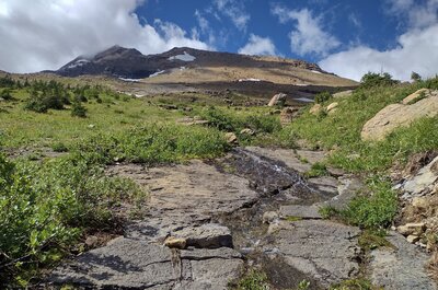 Looking up Jackson Mountain, 10,052 ft., from Jackson Glacier Trail.  Although not visible, Jacson Glacier is in the bowl/shelf on the right, near the top of Jackson Mountain as seen from here.