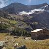 At Gunsight Pass - the shelter and resident goat.