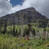 Fusillade Mountain, 8,750 ft., looms above Gunsight Pass Trail.