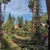 Approaching the remote Castleguard River Patrol Cabin on a pretty August morning.