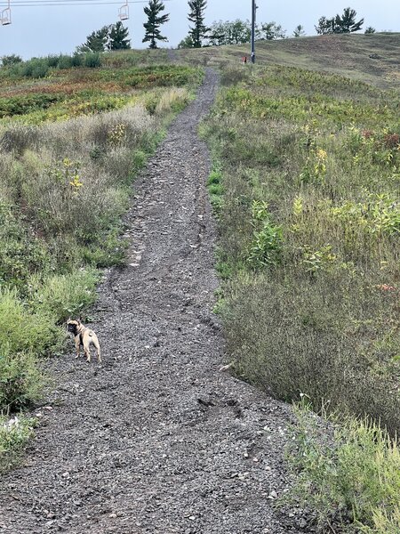 Start of steep trail portion.