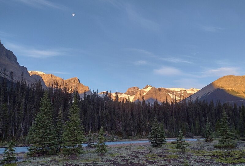 Early morning looking southwest to the high peaks and glaciers of the Great Divide, from the Alexandra River (foreground) flats near where the Castleguard River empties into it.