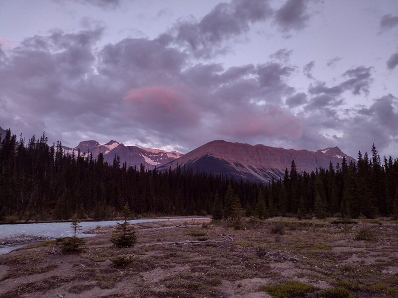 Early morning alpen glow on the mountains and glaciers of the Great Divide (left center), and Watchman Peak and its southeast shoulder (right center). Alexandra River is in the foreground on the left. Seen looking southwest from the Alexandra River flats.