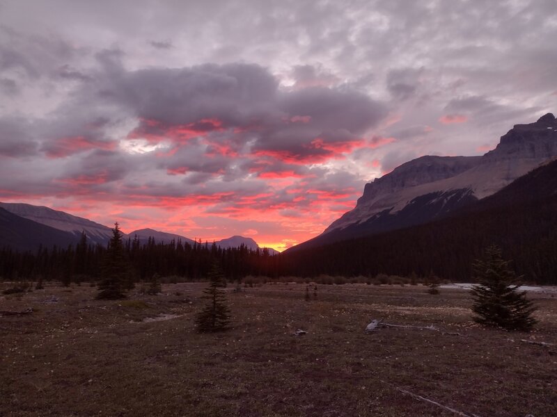 Sun rises in the east-northeast this far north. Seen looking downstream in the Alexandra River valley.