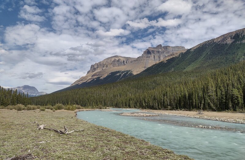 The Alexandra River at its river flats near where Castleguard River empties into it. Looking downstream (east-northeast) the two peaks in the center are thought to be Mt. Amery (center left) and Willerval Mountain (center right).