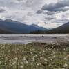 The beautiful Alexandra River valley, looking downstream/northeast. River flats are adorned with wildflowers and surrounded by rugged peaks.