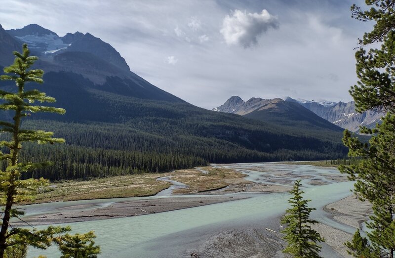 Mount Willerval, 10,433 ft., (left) towers over the broad Alexander River valley.  Seen looking southeast from the Alexandra River Trail. Distant mountains and glaciers on the right are on the Great Divide.