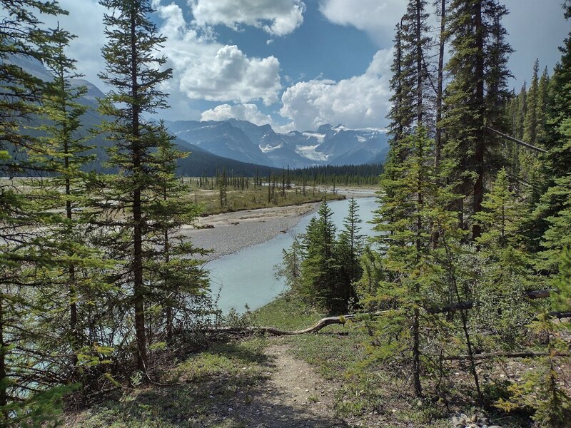 The beautiful, aquamarine Alexandra River in its broad valley, and the rugged Great Divide come into view hiking the Alexandra River Trail.