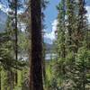 Glimpses through the trees of the Alexandra River valley and surrounding mountains along the trail around the 6 mile mark.