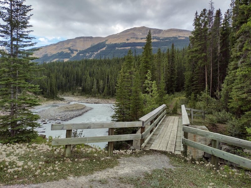 The Alexandra River Trail starts off by crossing this well built bridge over the North Saskatchewn River.