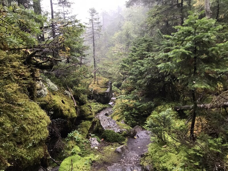 Misty day through the Mahoosuc Notch.