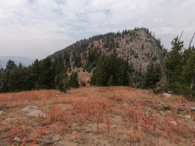 Cunningham Saddle where trail meets Elkhorn Crest trail (9-12-2022)