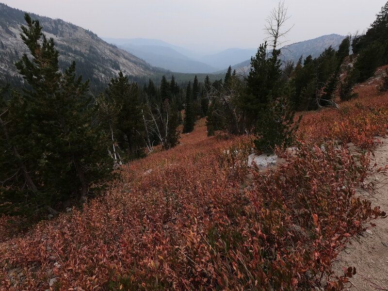 Cunningham Cove from trail (9-12-2022)