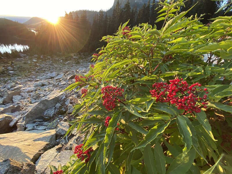 Sunrise at Little Cougar Lake