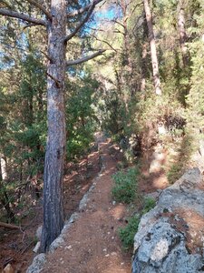 The stone path above the pipe