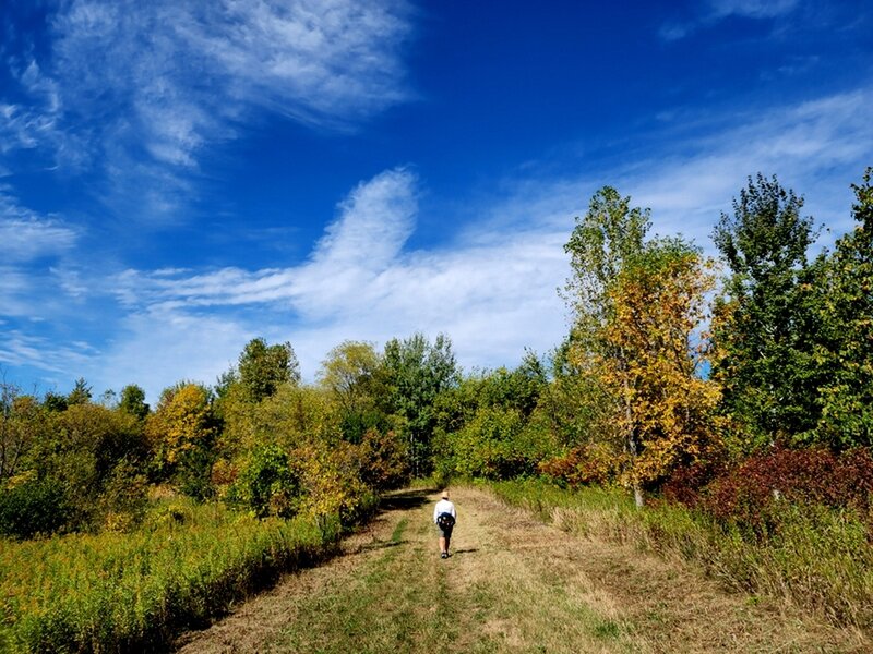 Fall colors on the north side of the loop.