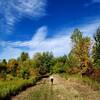 Fall colors on the north side of the loop.