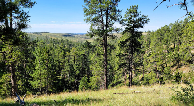 Nice view from Roof Trail at Jewel Cave National Monument.