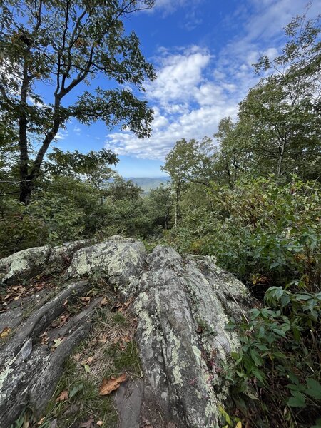 Duncan Ridge Trail Summit of Coosa Bald, on the Duncan Ridge Trail.