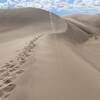 Dunes over 750' high, amazing scenery, worth the trip!