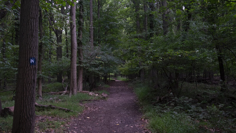 Nature Center Trail