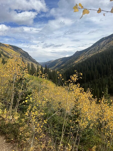 Fall leaves in the Conundrum Valley.