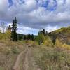 Looking south up the dirt road section just beyond the trailhead.