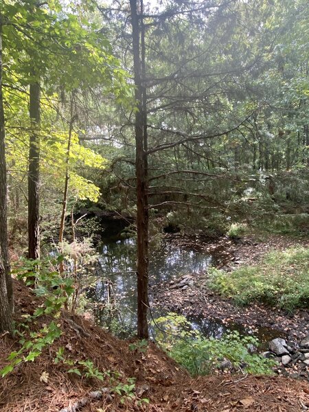 Area past spillway/waterfall