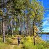 On the Pine Ridge Trail along the shore of Hayes Lake.