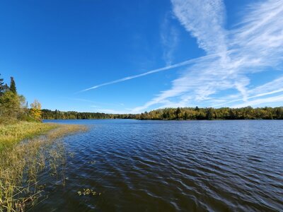 Looking east over Hayes Lake.