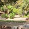 Robert's Ranch House Ruins.