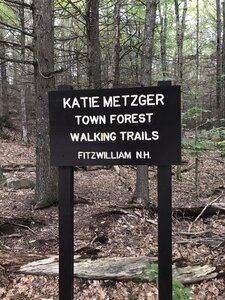 Katie Metzger Town Forest.