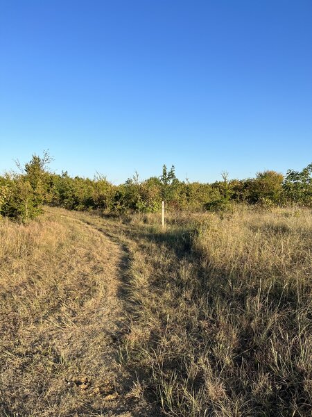 Trail 3, at its southern intersection with Trail 1. Much of the trail is in similar prairie land.