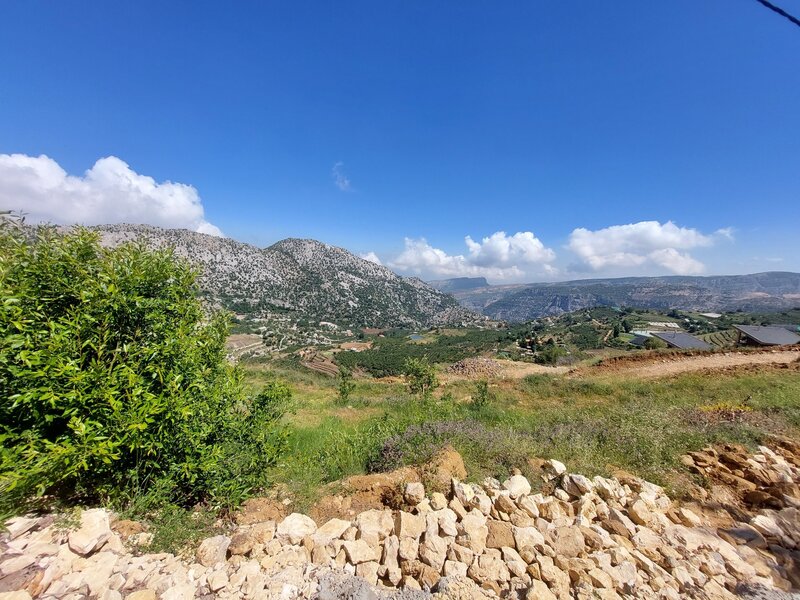 Tannourine from Laqlouq