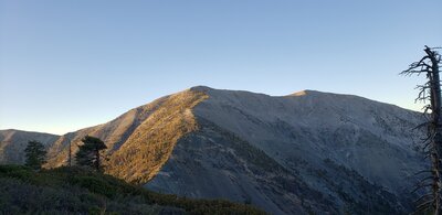 Looking south at Mt. Baldy's north side from the beginning of the trail, just before it turns west.