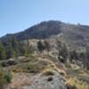 Looking up along Pine Mountain Ridge to the east from Fish Fork Trail.