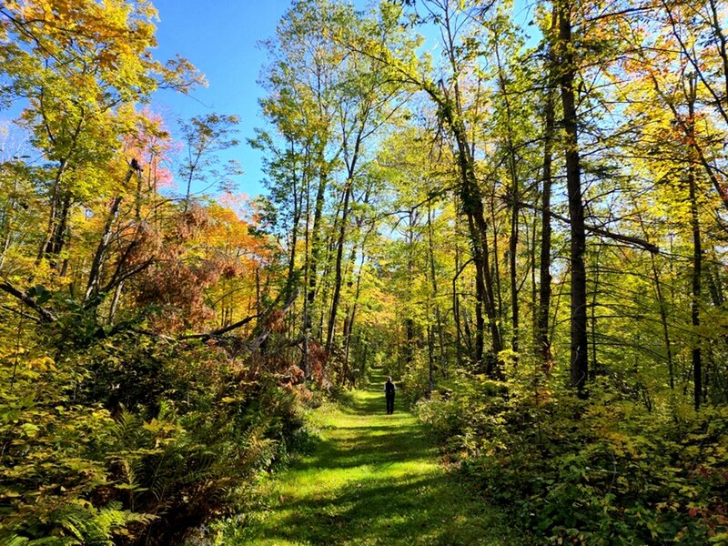 On a section of the Old Savanna Portage Trail