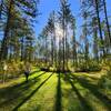 At the junction with the trail to Lake Shumway