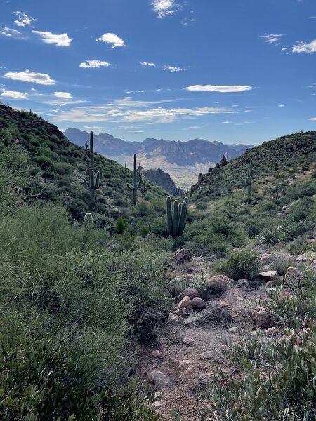 Bluff Springs Trail