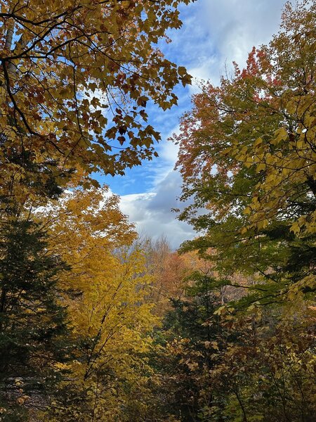 View from the Red Bench