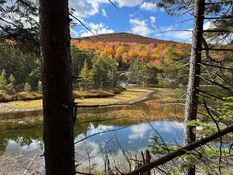 View of the Lake Oct. 9, 2022