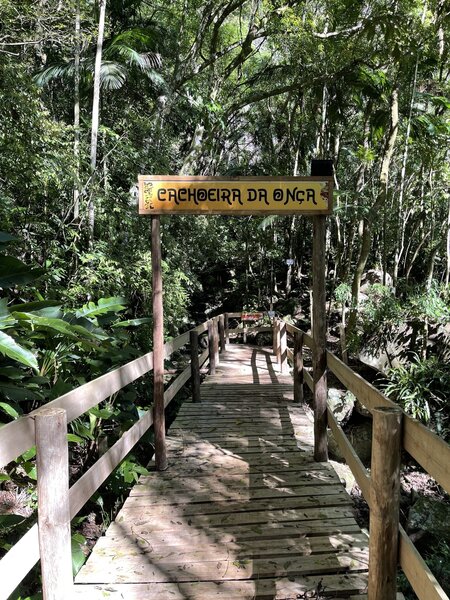 Wood board path