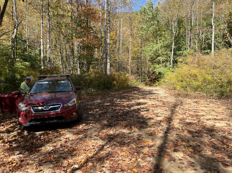 Parking area where forest rd 117 apparently turns into Nelson Cove Trail 93G