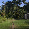 Trail next to Untermyer Park and Gardens